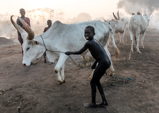 Mundari tribe boy taking care of the long horns cows in the camp, Central Equatoria, Terekeka, South Sudan