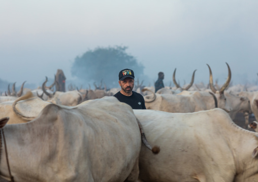 Tourist in the middle of long horns cows in a Mundari camp, Central Equatoria, Terekeka, South Sudan