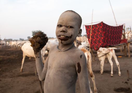 Mundari tribe boy collecting dried cow dungs to make bonfires to repel mosquitoes and flies, Central Equatoria, Terekeka, South Sudan