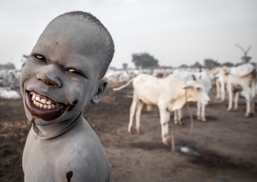 Smiling Mundari tribe boy covered in ash taking care of long horns cows in a camp, Central Equatoria, Terekeka, South Sudan