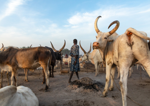 Mundari tribe boy taking care of the long horns cows in the camp, Central Equatoria, Terekeka, South Sudan