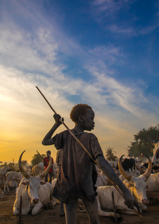 Mundari tribe boy with a stick taking care of the long horns cows in a camp, Central Equatoria, Terekeka, South Sudan