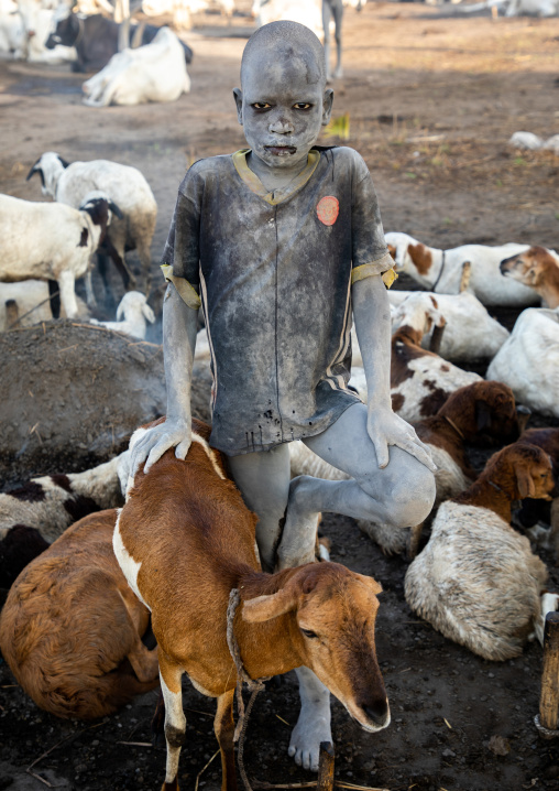 Mundari tribe boy covered in ash taking care of sheeps in a camp, Central Equatoria, Terekeka, South Sudan