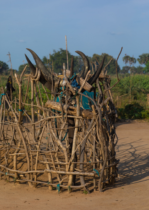 Grave with cow horns in the middle of a Mundari village, Central Equatoria, Terekeka, South Sudan