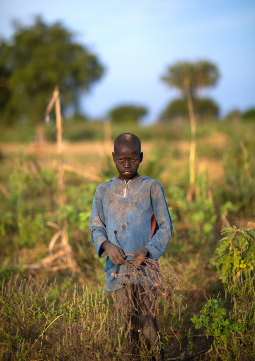 Portrait of a Mundari tribe boy in a field, Central Equatoria, Terekeka, South Sudan