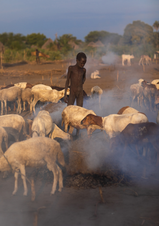 Mundari tribe boy taking care of his sheeps in a camp, Central Equatoria, Terekeka, South Sudan
