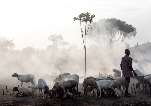 Mundari tribe boy taking care of the bonfires made with dried cow dungs to repel flies and mosquitoes, Central Equatoria, Terekeka, South Sudan