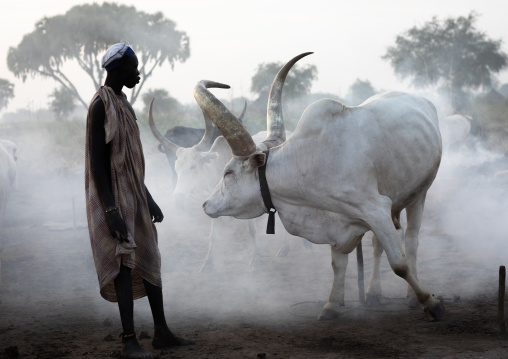 Mundari tribe man taking care of the long horns cows in the camp, Central Equatoria, Terekeka, South Sudan