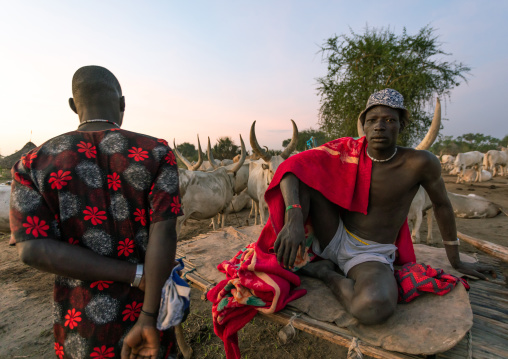 Mundari tribe man resting on a wooden bed in the middle of his long horns cows, Central Equatoria, Terekeka, South Sudan