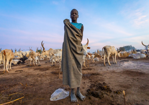 Mundari tribe boy taking care of the long horns cows in the camp, Central Equatoria, Terekeka, South Sudan
