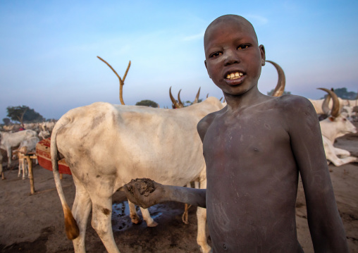 Mundari tribe boy taking care of the long horns cows in the camp, Central Equatoria, Terekeka, South Sudan