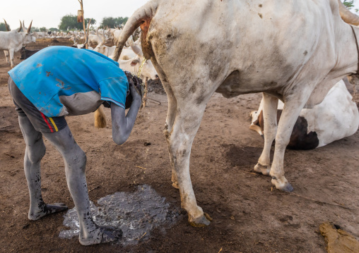 Mundari tribe boy showering in the cow urine to dye his hair in orange, Central Equatoria, Terekeka, South Sudan