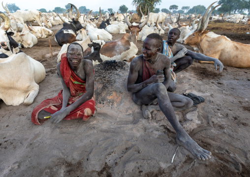 Mundari tribe men sit around a bonfire in the middle of theit long horns cows, Central Equatoria, Terekeka, South Sudan