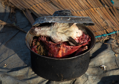 Goat head cooking in Mundari tribe, Central Equatoria, Terekeka, South Sudan
