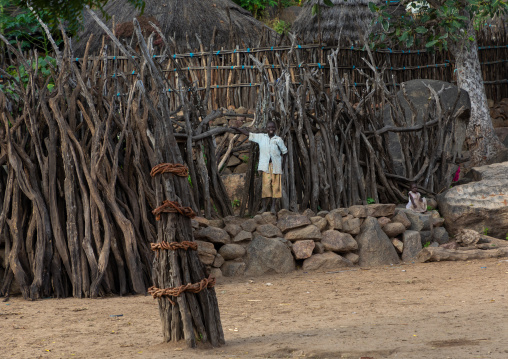 Generation pole erected during initiation ceremonies in Lotuko tribe, Central Equatoria, Illeu, South Sudan