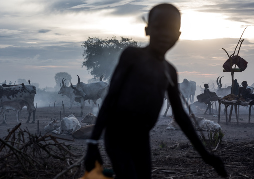 Mundari tribe boys taking care of the bonfires made with dried cow dungs to repel flies and mosquitoes, Central Equatoria, Terekeka, South Sudan