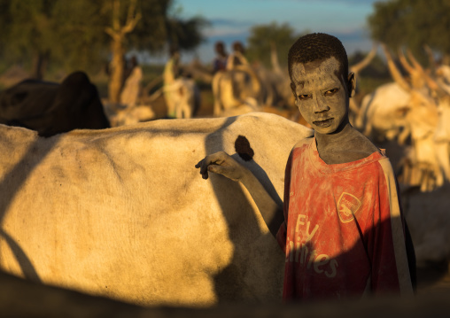 Mundari tribe boy taking care of the long horns cows in the camp, Central Equatoria, Terekeka, South Sudan