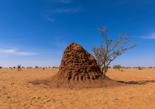 Termite mound in an arid area, Khartoum State, Khartoum, Sudan