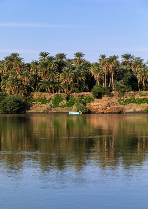 Plam trees and boat on the bank of river Nile, Northern State, El-Kurru, Sudan