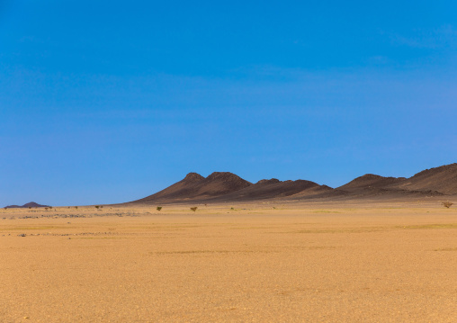 Desert landscape, Northern State, Bayuda desert, Sudan