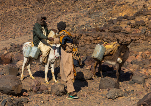 Bisharin nomad men with donkeys collecting salt in Atrun crater, Bayuda desert, Atrun, Sudan