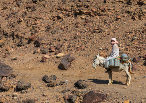 Bisharin nomad man collecting salt in Atrun crater, Bayuda desert, Atrun, Sudan
