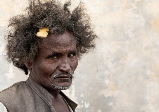Portrait of a Beja tribe man with a wooden comb in the hair, Red Sea State, Port Sudan, Sudan