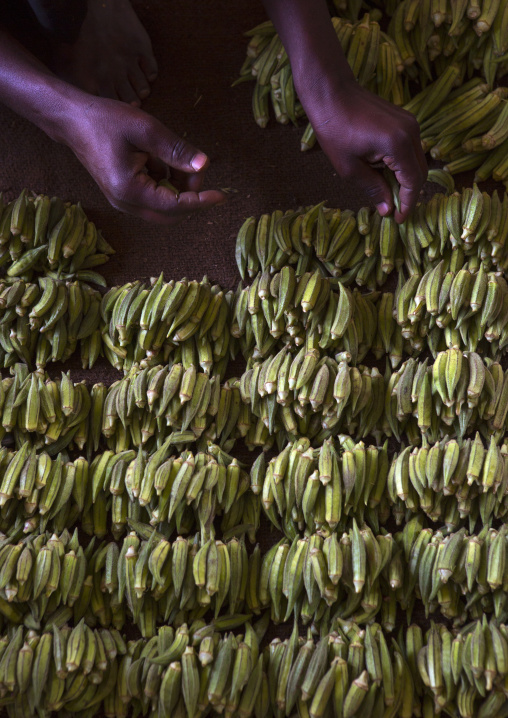 Sudan, Khartoum State, Omdurman, vegetables on a market