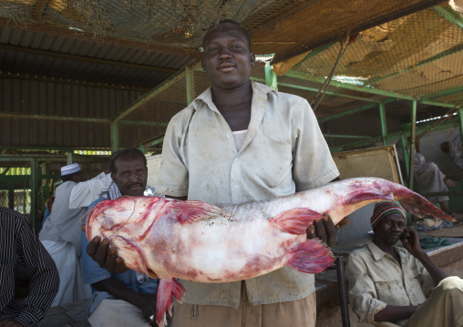Sudan, Khartoum State, Omdurman, nile perch at fish market