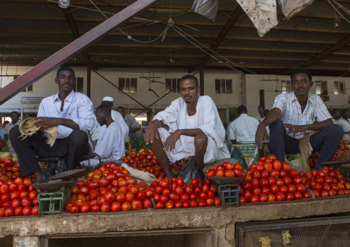 Sudan, Khartoum State, Omdurman, tomato sellers at market
