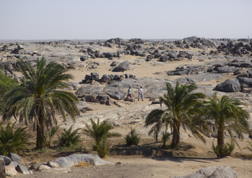 Sudan, Nubia, Tumbus, arid landscape