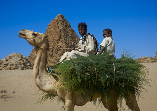 Sudan, Nubia, Nuri, kids on a camel in front of the royal pyramids of napata