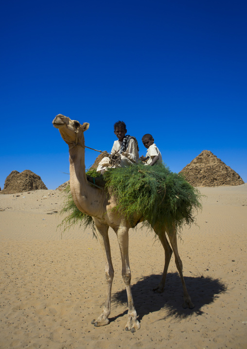 Sudan, Nubia, Nuri, kids on a camel in front of the royal pyramids of napata