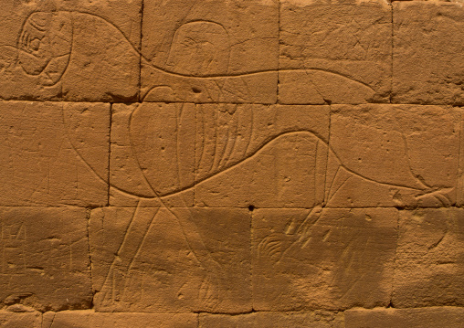 Sudan, Nubia, Naga, lion carving on the elephant temple at musawwarat es-sufra