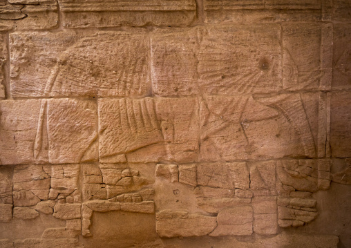 Sudan, Nubia, Naga, elephant relief, interior of the lion temple in musawwarat es-sufra