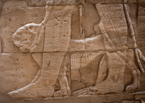 Sudan, Nubia, Naga, the god apedemak walking a lion by a leash in lion temple in musawwarat es-sufra