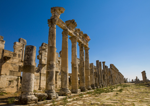 Columned Ancient Street, Apamea, Hama Governorate, Syria