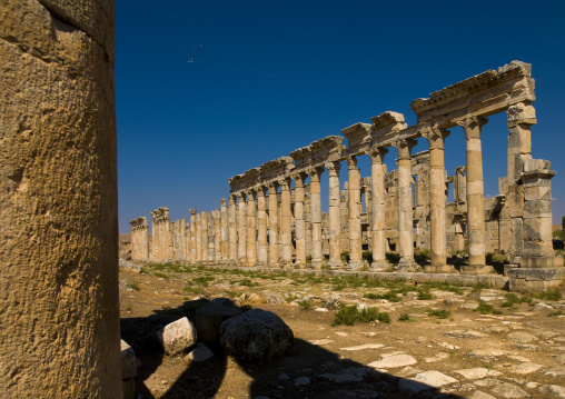 Columned Ancient Street, Apamea, Hama Governorate, Syria