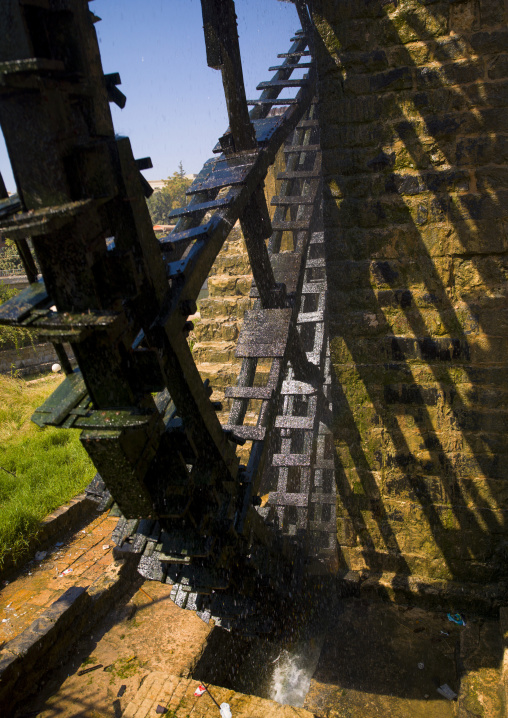 The Norias Of Bechriyyat, Hama, Hama Governorate, Syria