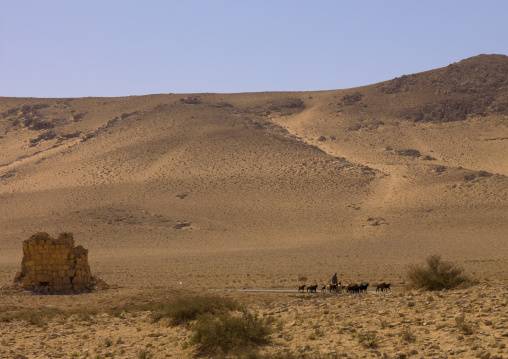 Eggelin Tomb Tower In The Ancient Roman City, Palmyra, Syrian Desert, Syria