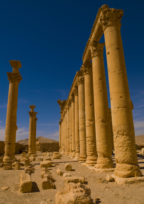 The Ancient Roman City, Palmyra, Syrian Desert, Syria