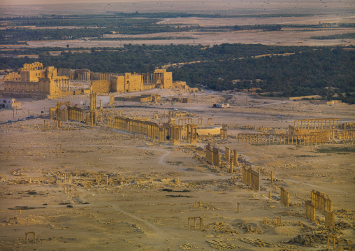 The Ancient Roman City, Palmyra, Syrian Desert, Syria