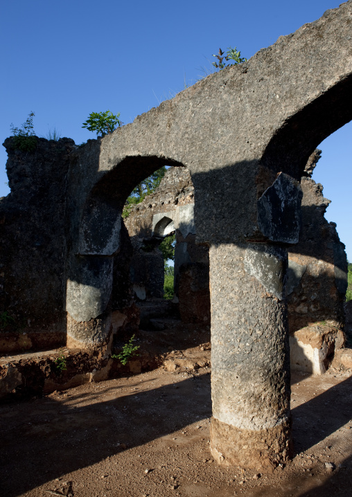 Lady khole ruins, Zanzibar, Tanzania