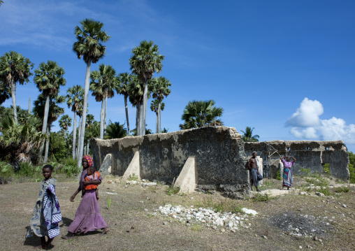 Mosque of mkumbuu ancient town, Pemba, Tanzania