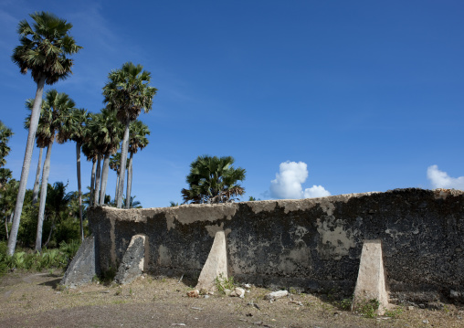 Mosque of mkumbuu ancient town, Pemba, Tanzania