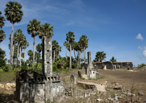 Tomb in the mkumbuu ancient town, Pemba, Tanzania