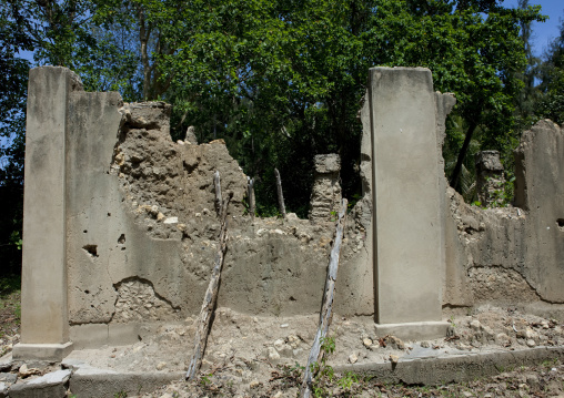 Pujini ruins, Pemba, Tanzania