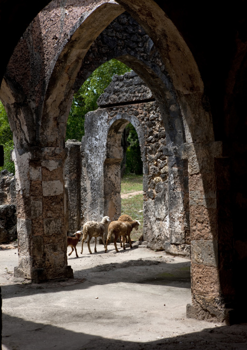 Old mosque in kilwa kisiwani, Tanzania