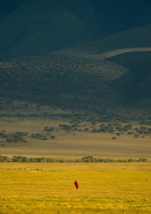 Tanzania, Arusha Region, Ngorongoro Conservation Area, maasai old man walking alone in the bush