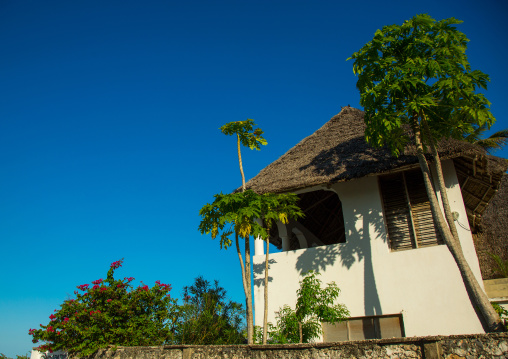 Tanzania, Zanzibar, Jambiani, house and trees at coast